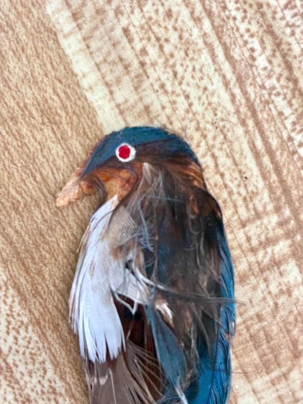 VTG 1960s Feathered Bird Brooch Kingfisher